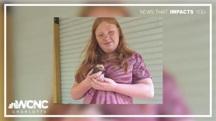 News WS NC: Your Ultimate Guide to Local and Global Updates