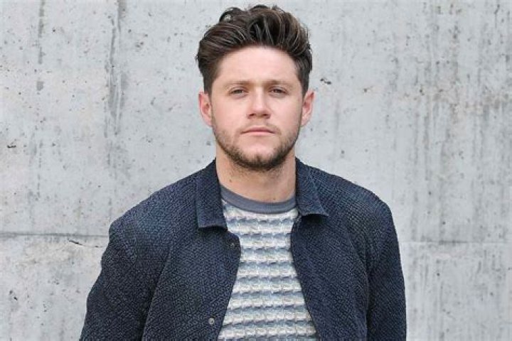 Niall Horan cancels his trip to Italy