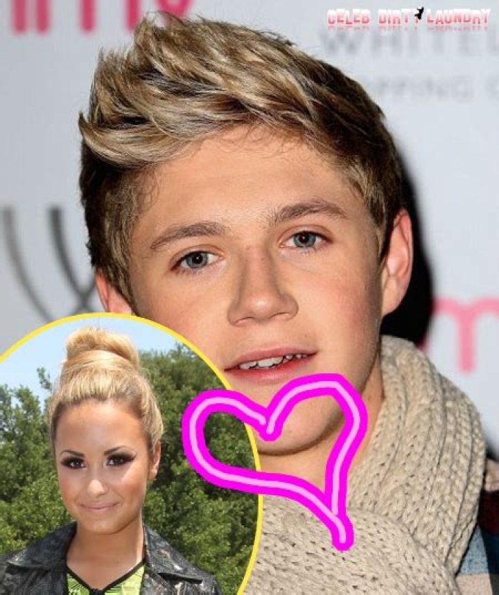 Niall Horan Caught In Whirlwind of Embarrassment While Meeting Girlfriend Demi Lovato’s Family