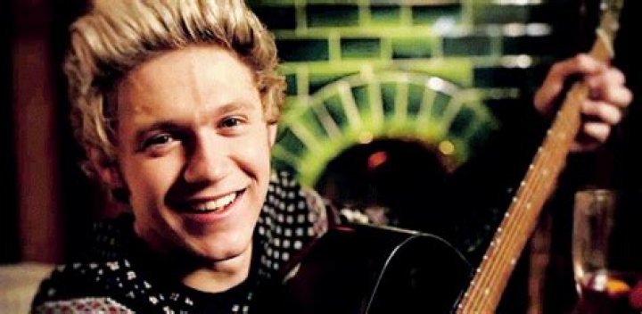 Niall Horan Shines Light on Online Harassment