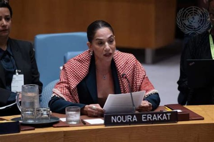 Noura Erakat - Net Worth, Age, Height, Birthday, Bio, Wiki!