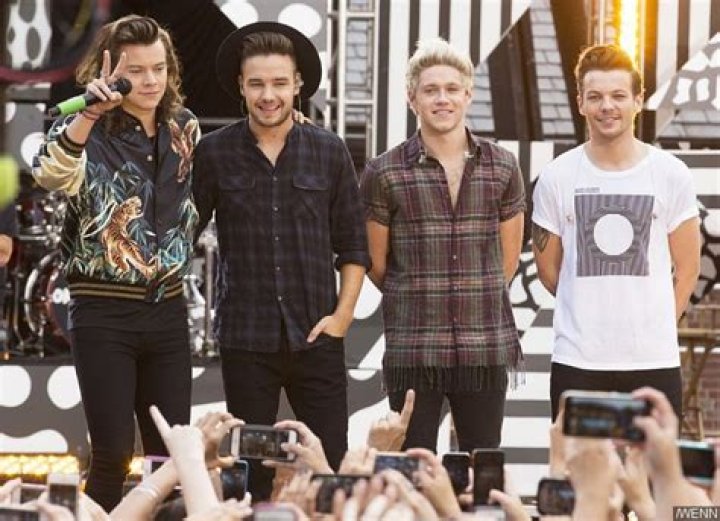 One Direction Cancels First Show in Five Years