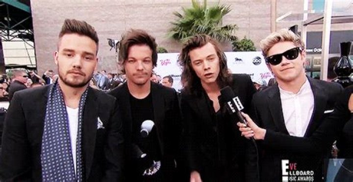 One Direction Fans and #ProjectHome