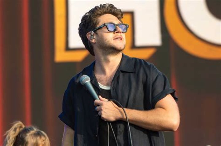 One Direction Fans Raise Money in Honour of Niall Horan's Birthday
