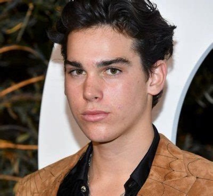 Paris Brosnan- Wiki, Age, Height, Net Worth, Girlfriend, Career