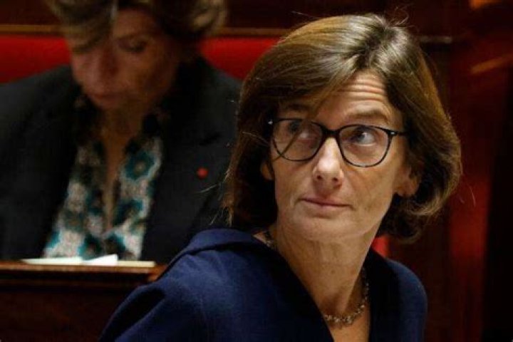 Qui Est Le Mari De Agnès Firmin Le Bodo ?