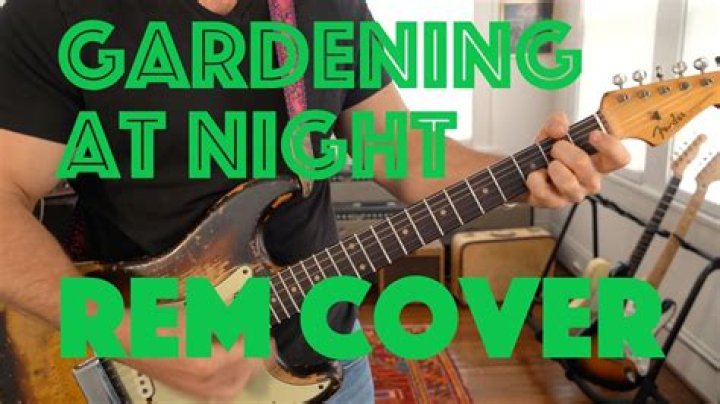 REM’s
Gardening At Night Lyrics