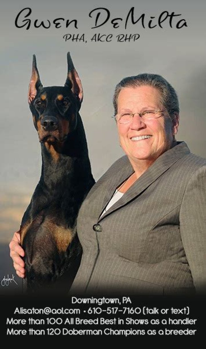 RIP: Gwen Demilta Obituary- Death Cause Of The Dog Rescuer