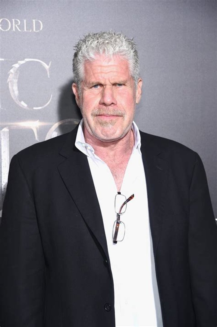 Ron Perlman Net Worth, Age, Height, Bio, Birthday, Wiki!