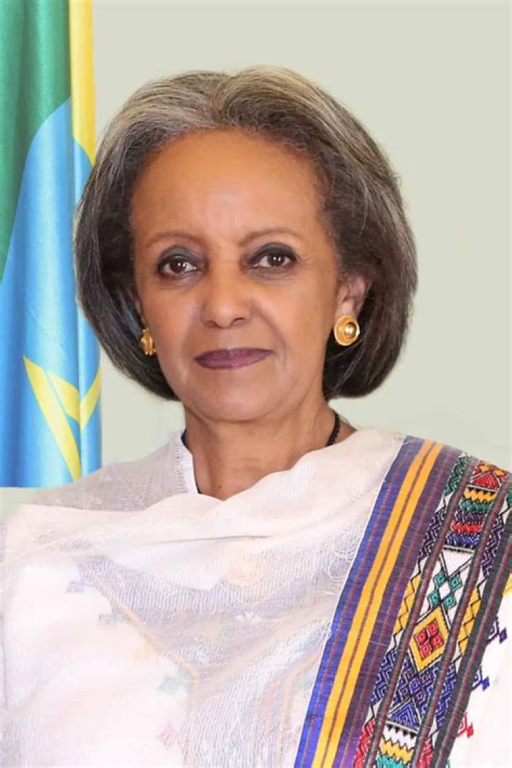 Sahle-Work Zewde (Ethiopian President) Net Worth: Bio, Wiki, Age, Family, Husband and Salary