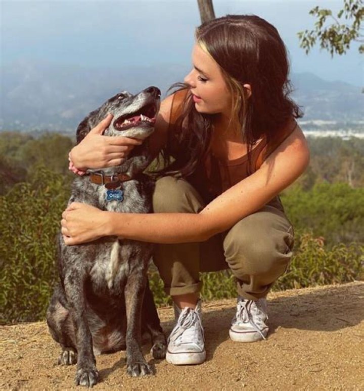 Samwitch Divorce Drama Reddit | Scandal And Controversy