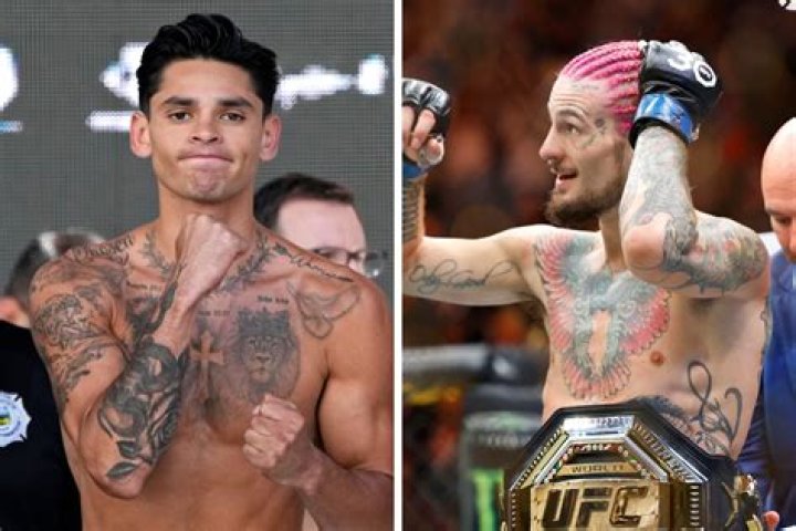 Sean Patrick O'Malley - Net Worth, Age, Height, Birthday, Bio, Wiki!