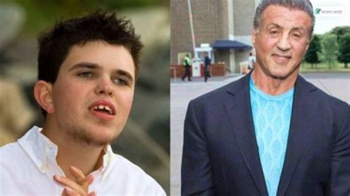 Seargeoh Stallone- Bio, Wiki, Age, Height, Net Worth, Girlfriend, Career