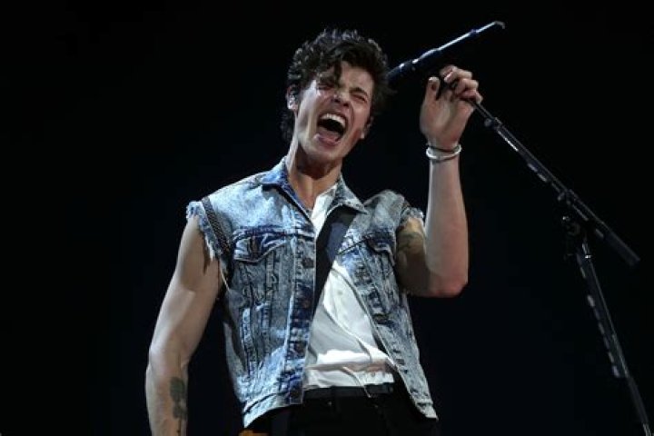 Shawn Mendes Announces New Single And Album 'Wonder'