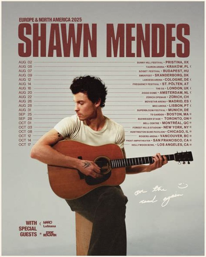 Shawn Mendes Releases New Merch for His Upcoming Album