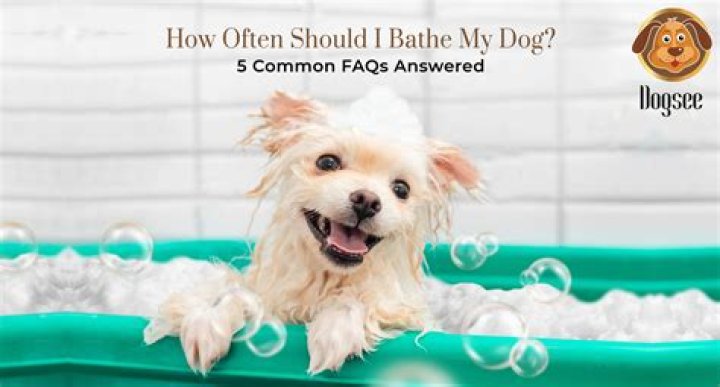 Should i bathe my dog before applying advantix