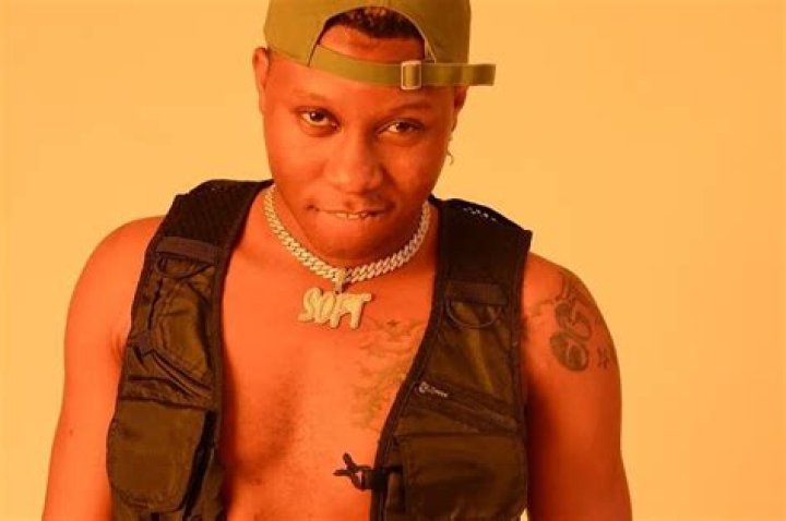 Soft (Musician) Biography: State Of Origin, Age, Instagram, Girlfriend, Facts, Real Name, Songs, Net Worth, Wikipedia, Photos