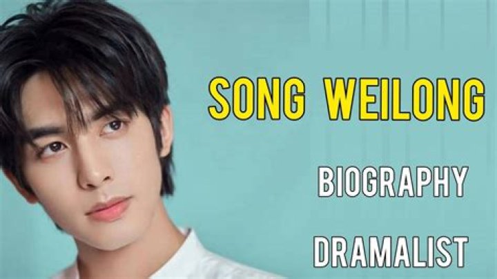 Song Weilong - Net Worth, Age, Height, Birthday, Bio, Wiki!