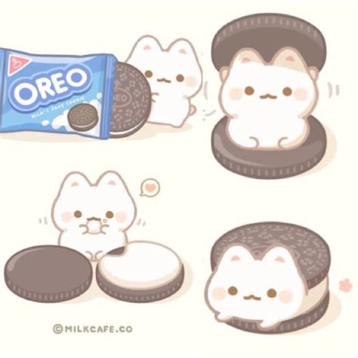 The Oreo Cat - Net Worth, Age, Height, Birthday, Bio, Wiki!