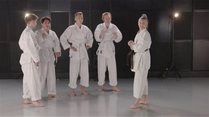 The Vamps join 'Karate With Anne-Marie'