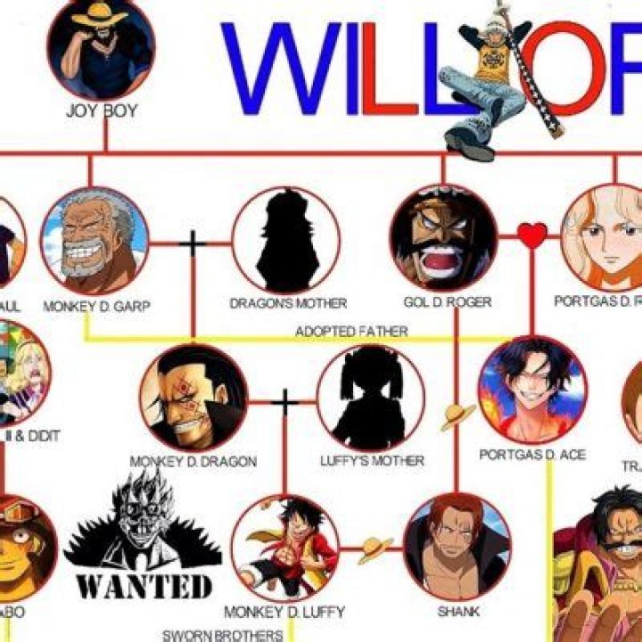 Trafalgar Law Relationship: Is Trafalgar Law Related To Sengoku?