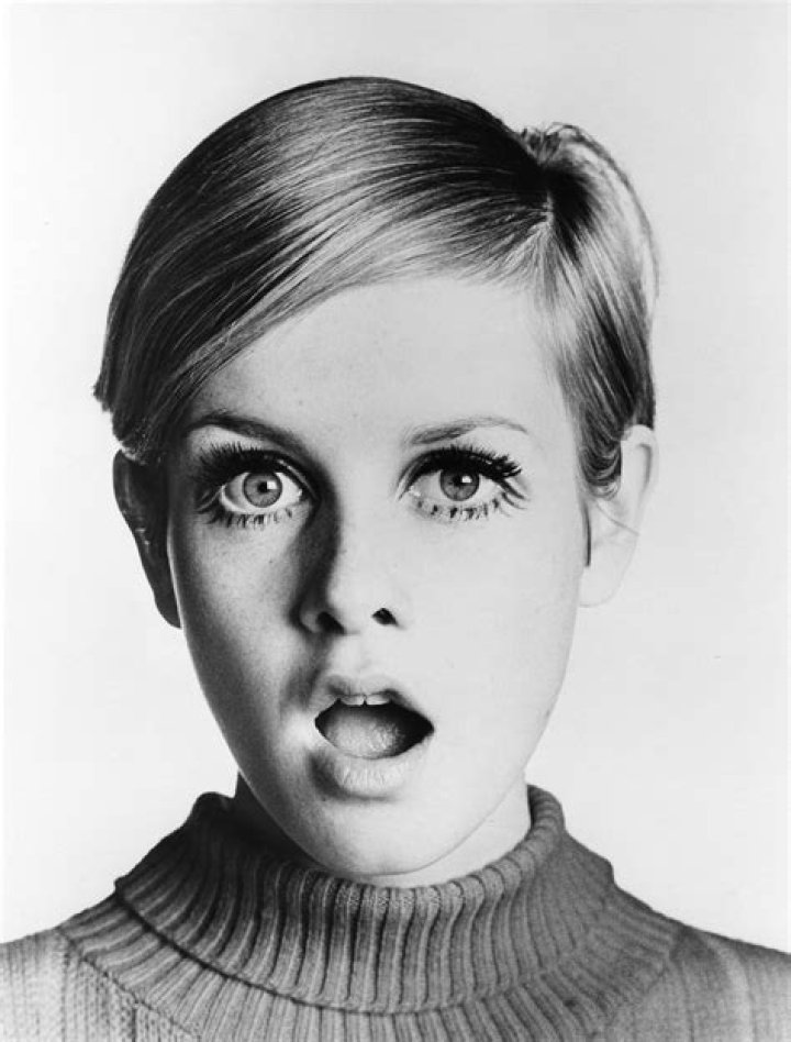 Twiggy Model