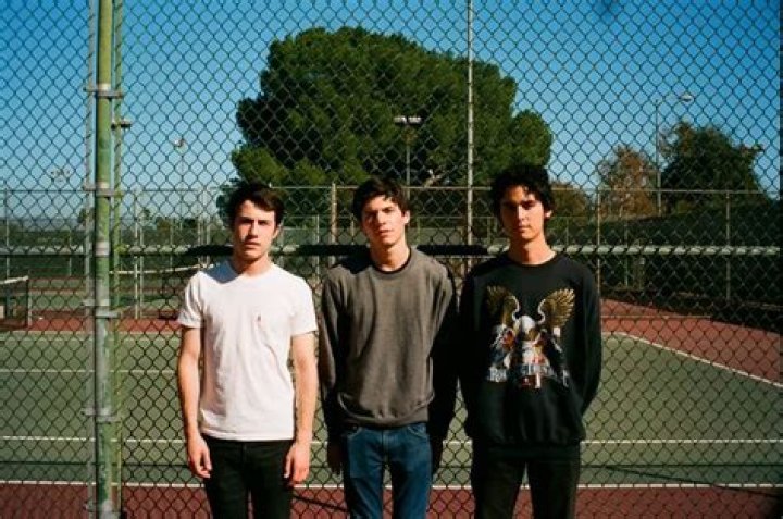 Wallows Biography: Age, Net Worth, Members, Founder, Instagram, Parents, Height, Real Name, Songs