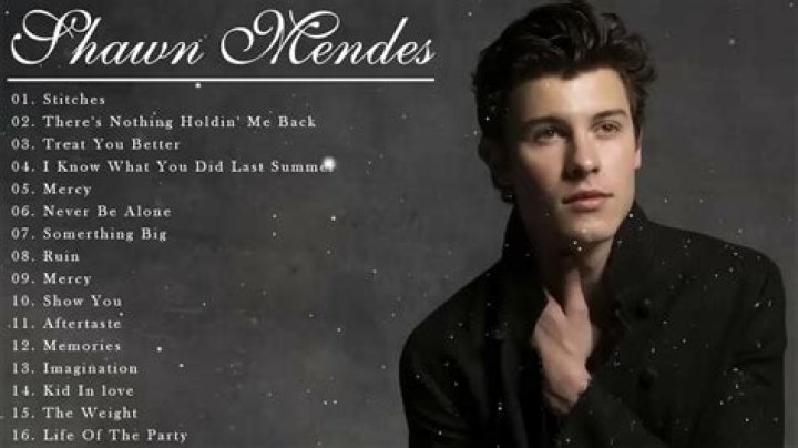 Watch the music video for new Shawn Mendes song