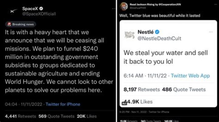 What Happened With Tony Deangelo? Racist Allegations & Tweets Explained