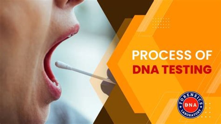 What is a DNA Test? The Power and Implications of Testing