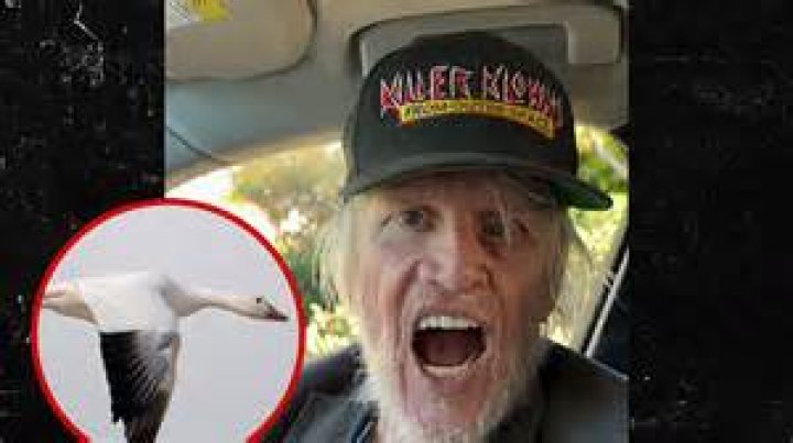 Who is Gary Busey Dating – Gary Busey's Girlfriend & Exes