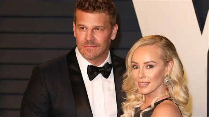 Who Is Ingrid Quinn? All About David Boreanaz’s Ex-Wife