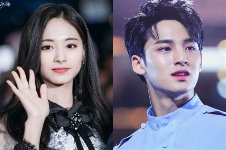 Who is Kim Mingyu Dating – Kim Mingyu's Girlfriend & Exes