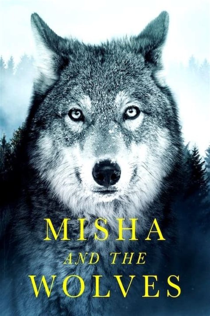 Who Is Misha Defonseca? Everything To Know About The Writer Of Misha And The Wolves