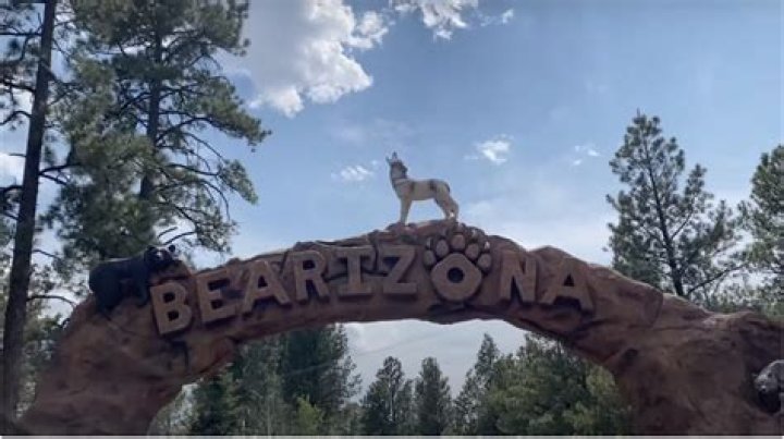 Zr. King Releases Their Single, "Welcome to Bearizona"